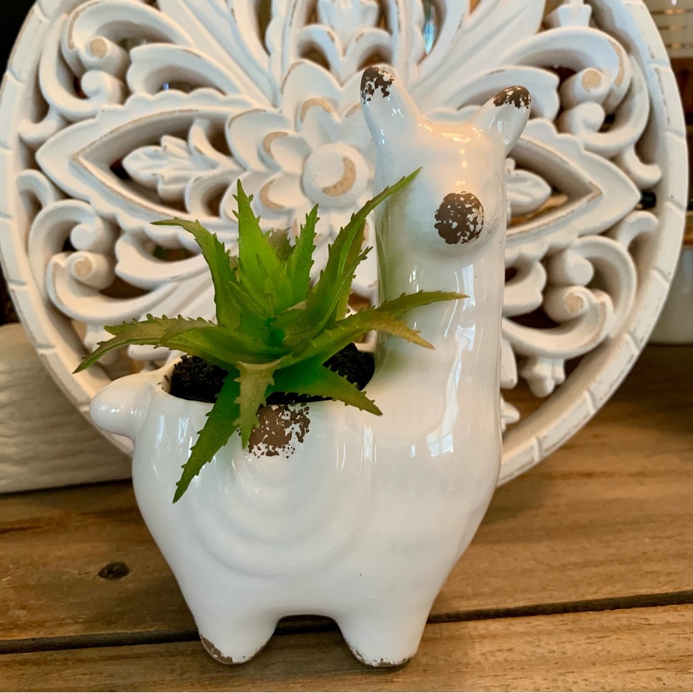 🌱No Drama Lama Planter ~Porcelain~Succulent~farmhouse~hobby Lobby~cottagecore